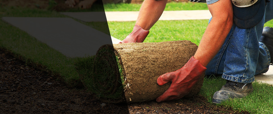 Plumsteadville Landscapers